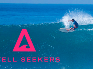 Surfer surfing in South Africa 