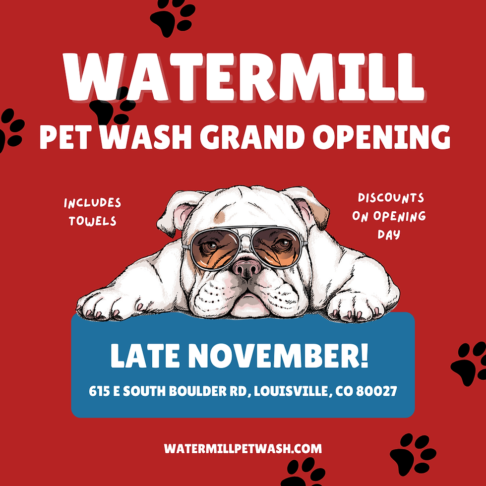 the pet wash in Colorado