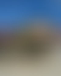 REVAMP YOUR RIDE AND PAMPER YOUR PET BLOG!