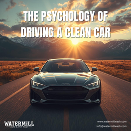 The Psychology of Driving a Clean Car..