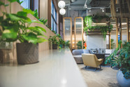 Maintenance 4.0, Facility Management, Hausmeisterservice,Gebäudereinigung,Winterdienst, Gärtner, Berlin, Hannover, Frankfurt, Köln
