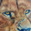 Thumbnail: The Night Watchman - coloured pencil portrait of a lion by Janine Lees Artist, based in York, UK. 2