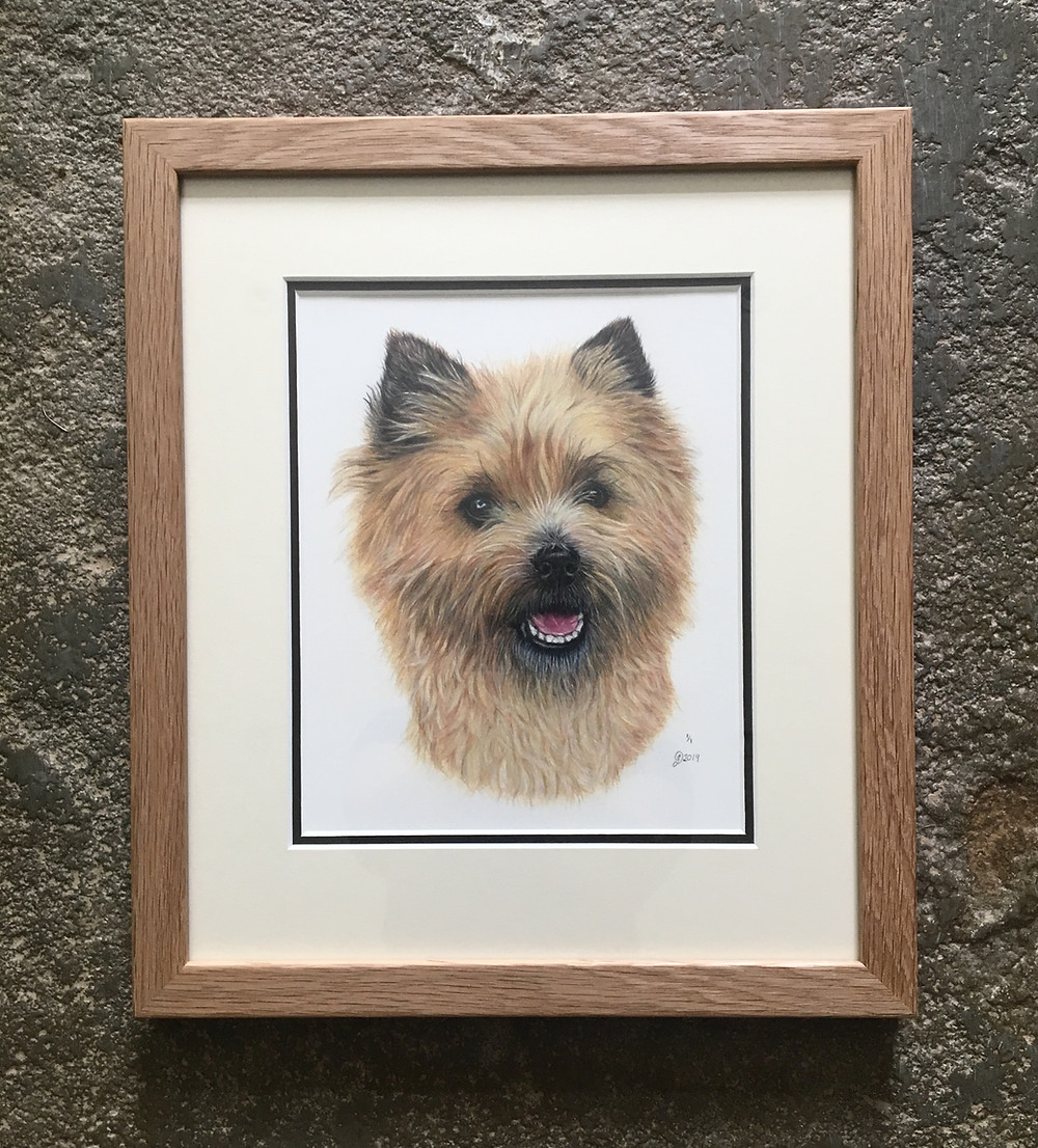 Coloured Pencil on Fabriano Artistico Paper