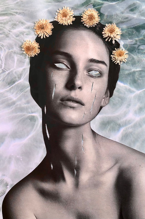 Transparence, janvier 2022