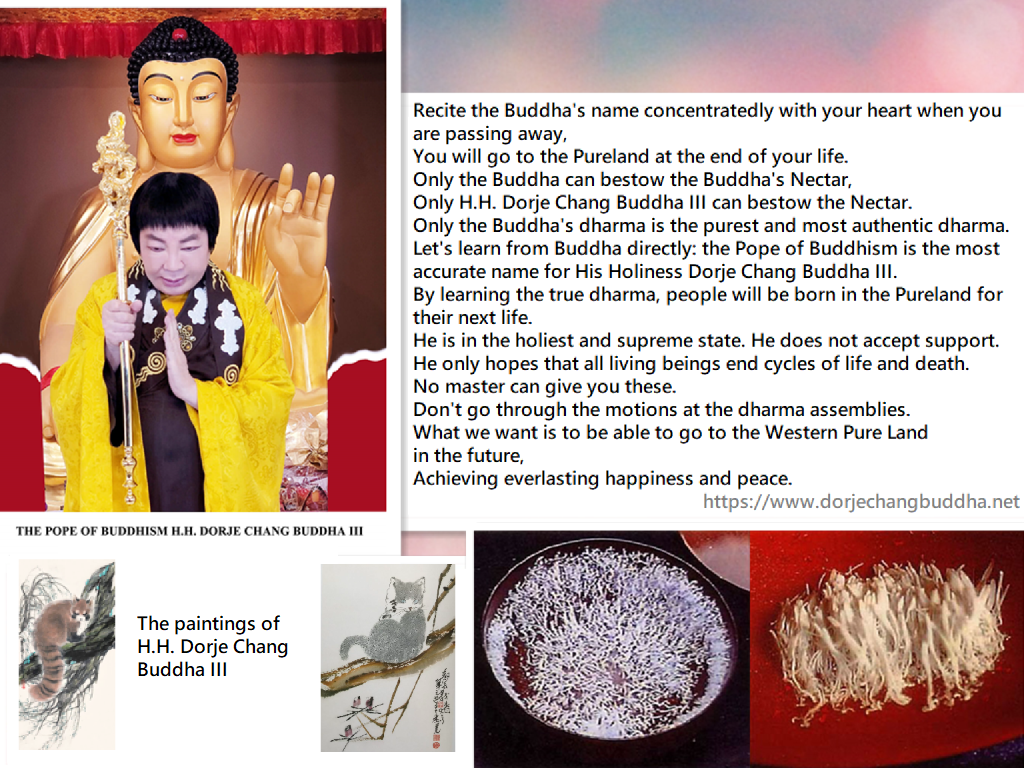 How can I go to Western Pureland in the future? By learning from the Pope of Buddhism