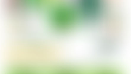 野外体験指導者向けリスク管理講座