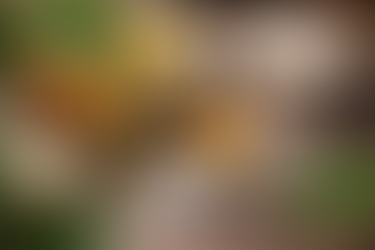 What are the health effects of cannabis usage?