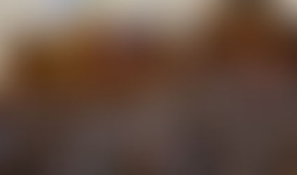 Ukrainian parliamentary expenses