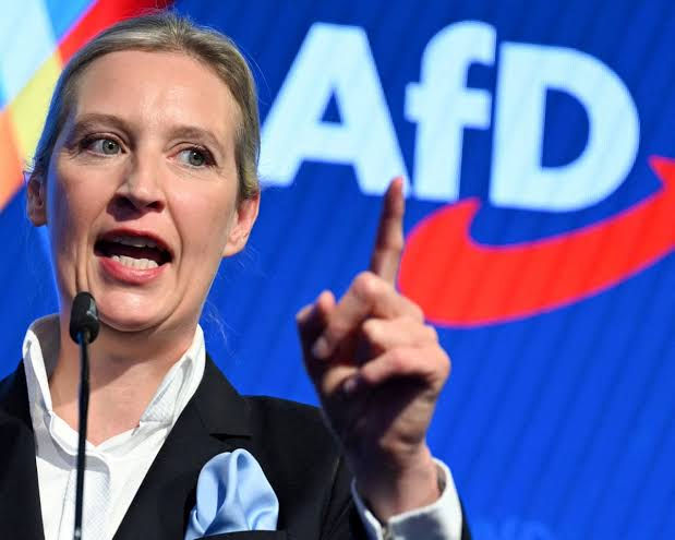 Can Germany Ban the AfD — and Should She?