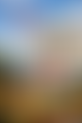 Trump's tariffs: struck down by the US Supreme Court