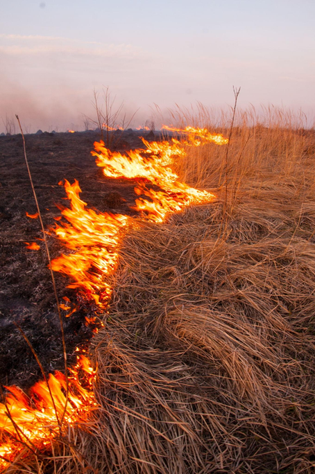 Is Ukraine suffering from climate change?
