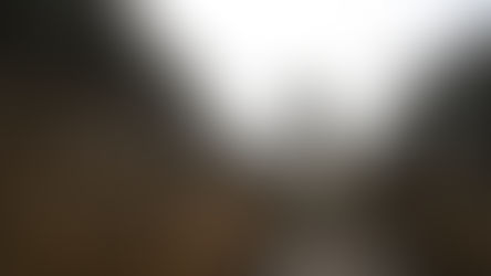 A Strategic Pause in Ukraine: How the Iran War Has Interrupted Europe’s Largest Conflict