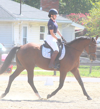 Wildflower Eventing Maryland Horse Lesso