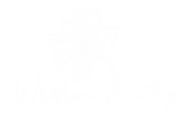 WFE Logo.png