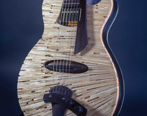 Notes on the Panel Discussion “Innovative Design In Modern Guitar Making”