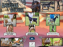 Drewem BM American Soldier