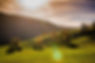 lawn-7561454_1920.jpg