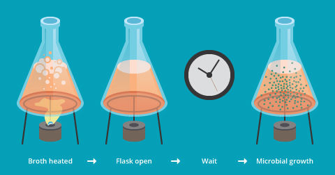 Needham´s Experiment