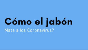Cómo el jabón Mata a los Coronavirus?