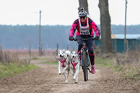 dog-paparazzi_JGDP7505_Original (priv. Nutzung) _958d75b9_.jpg