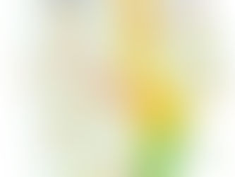 UMCES’s Chesapeake Bay and Watershed Report Card Shows Declined Health from 2024, Presents Long-Term Improvement