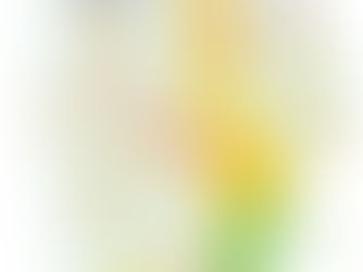 UMCES’s Chesapeake Bay and Watershed Report Card Shows Declined Health from 2024, Presents Long-Term Improvement