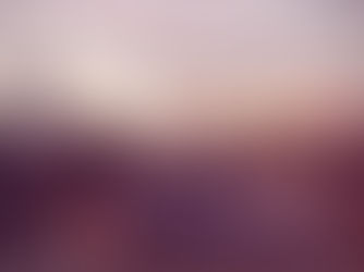 Action Needed: Non-partisan Primaries Ballot Measure