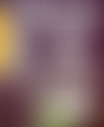 The Way Forward for Multiparty Democracy in Maryland