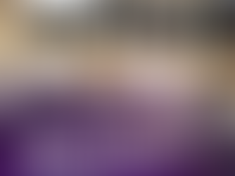 House wastes no time taking up congressional redistricting bill