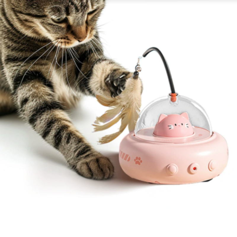 Thumbnail: Interactive Cat Toy