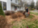 Spring Cleanup Wheelersburg Ohio.JPG