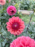 Thumbnail: Ailsa Bailey