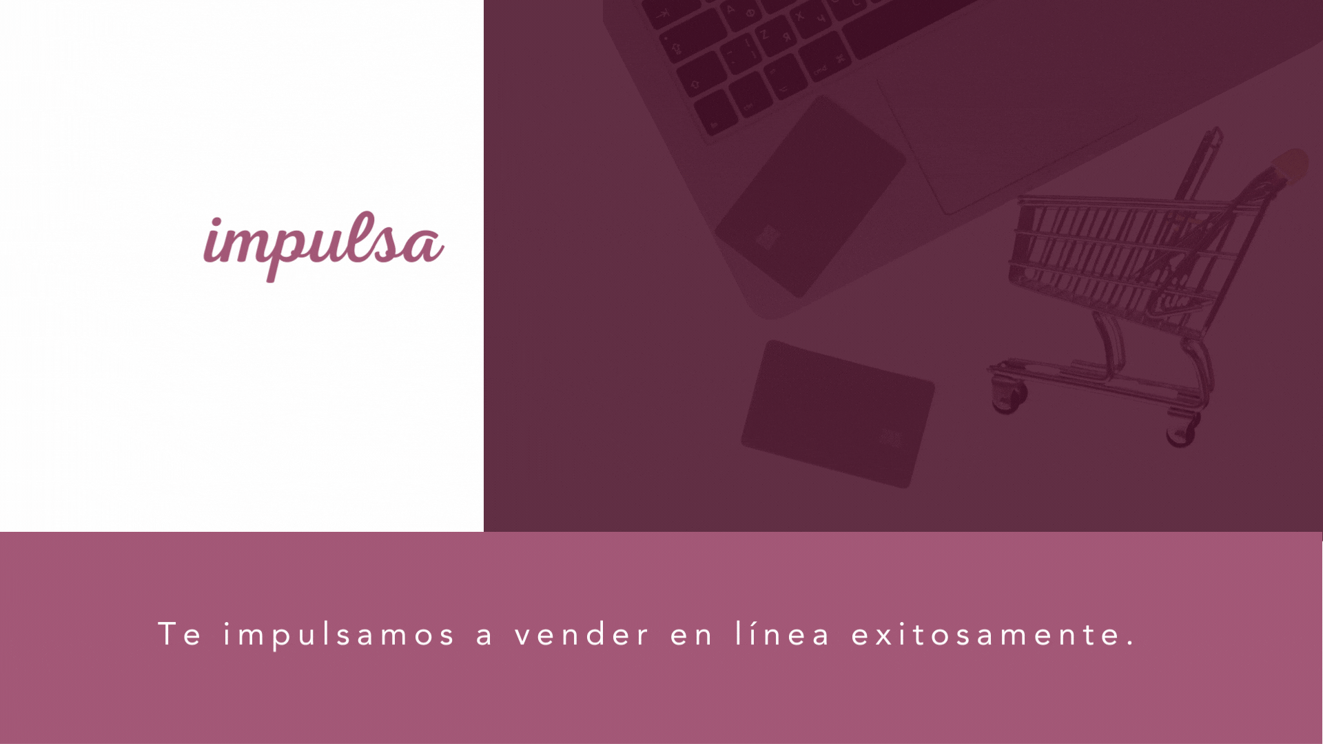 gif banner inicio final8.gif