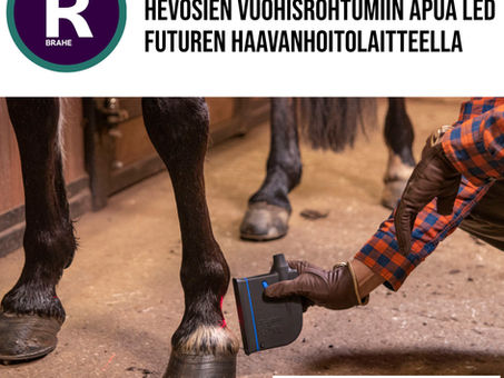 Ruukin luonto- ja hevoskeskuksen hevosien vuohisrohtumiin apua Led Futuren WCD-haavanhoitolaitteella