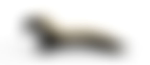 COMING SOON... The Gatsby Lounger