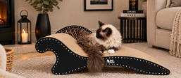 đž STOP YOUR KITTIES SCRATCHING YOUR FURNISHINGS!