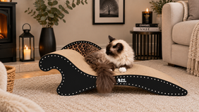 🐾 STOP YOUR KITTIES SCRATCHING YOUR FURNISHINGS!
