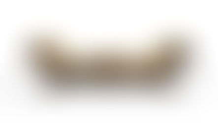 ✨Designer Product Number 9 Reveal... The Panthera Lounger