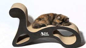 Are All Cardboard Scratchers Made the Same?