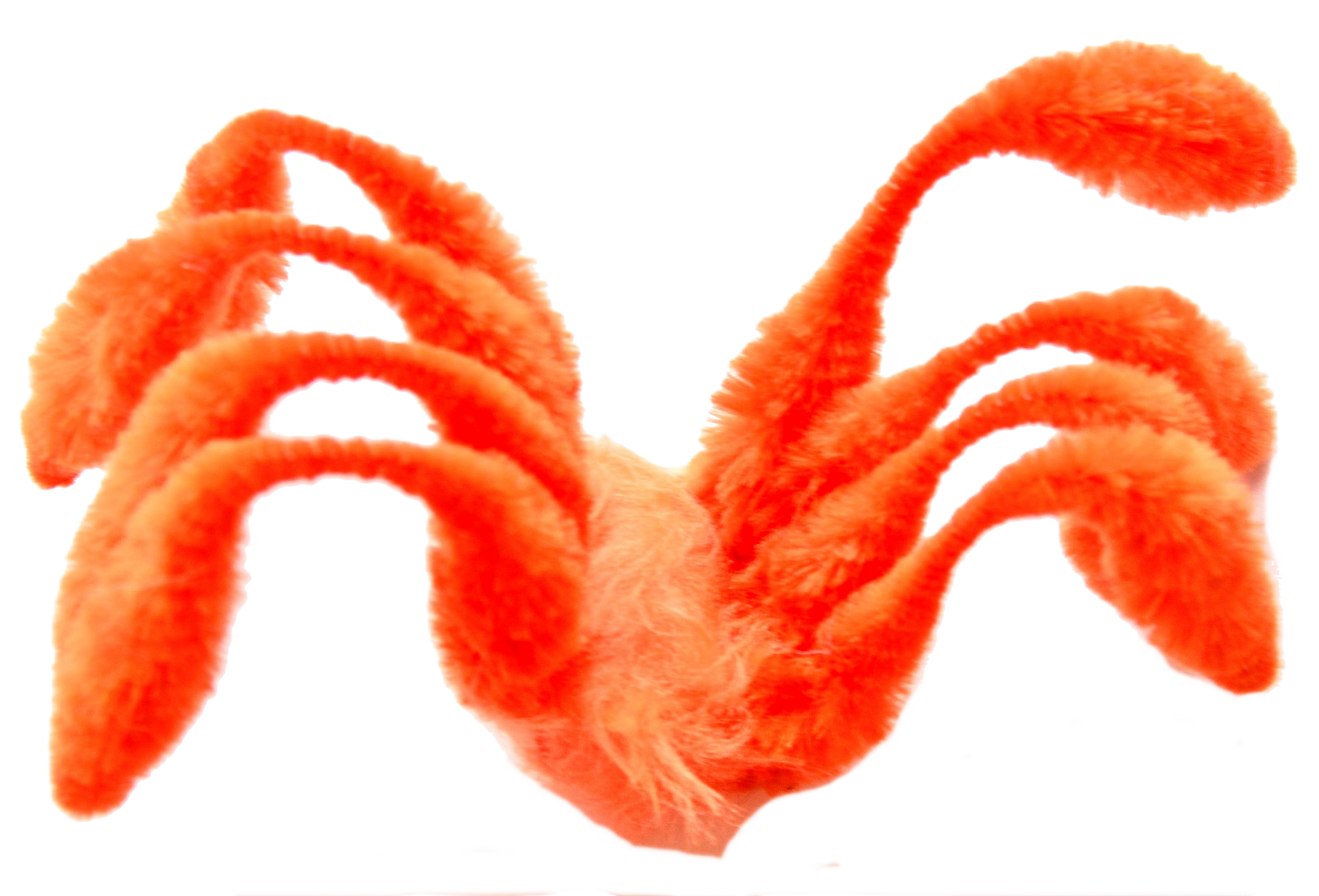 CATNIP SPIDER WITH RATTLE - ORANGE