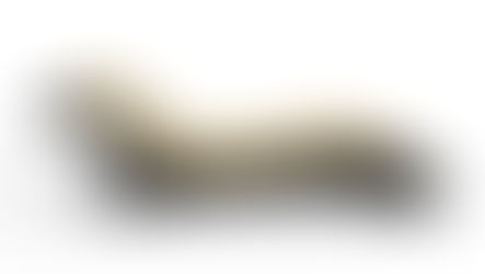 ✨Designer Product Number 4 Reveal... The Aristocat Lounger