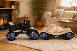 Cat Scratch Furniture | 3 Fat Cats Home Inspirations