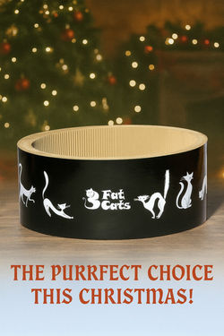 Cat Scratch Furniture | 3 Fat Cats