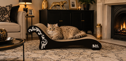 Cat Scratch Furniture | 3 Fat Cats Home Inspirations
