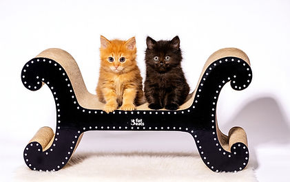 The Mognificent Throne with AI generated cats