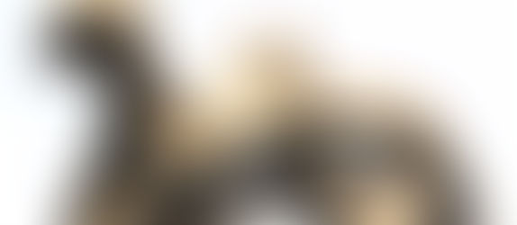 Minimalist Homes & Cat Scratch Furniture: What Works Best?