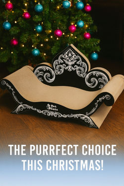 Cat Scratch Furniture | 3 Fat Cats