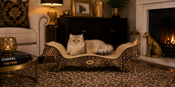 Cat Scratch Furniture | 3 Fat Cats Home Inspirations