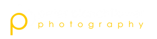 logo2.png