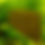 Thumbnail: Marigold & Honey